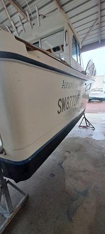 antares 6.55
