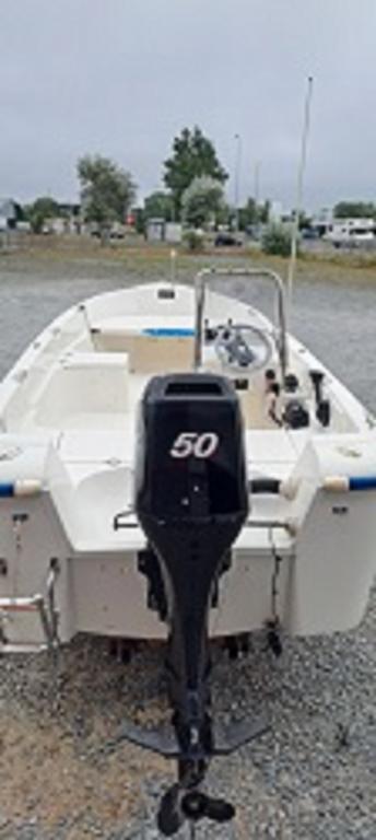 quicksilver 500
